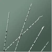 C.R. Bard #136506, Polyurethane Ureteral Catheters, 70 cm, 6 FR, Olive Tip, with Adapter, 10/CS Image