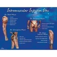 Nasco #LF00694U, SET, INJECTION SITE, INTRAMUSCULAR, EACH Image