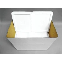 Therapak #56554, COMBO SHIPPER 2/CS, 2/CS Image