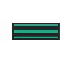 Aspen Surgical #153003EEA, Tape Instrument ID 8-1/2x11" Stripes Black/ Kelly Green Ea Image Aspen Surgical #153003EEA, Tape Instrument ID 8-1/2x11" Stripes Black/ Kelly Green Ea Image