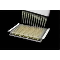 Globe Scientific #129940, SEALING FILM, ADHESIVE, FOR MICROTEST PLAT, 100/CS Image Globe Scientific #129940, SEALING FILM, ADHESIVE, FOR MICROTEST PLAT, 100/CS Image