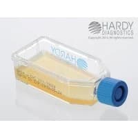 Hardy Diagnostics #X11, BHI (BRAIN HEART INFUSION) AGAR WITH CHL, 20/PK Image Hardy Diagnostics #X11, BHI (BRAIN HEART INFUSION) AGAR WITH CHL, 20/PK Image