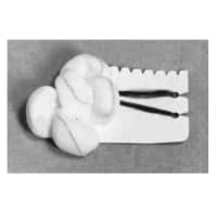 Teleflex #200340, SPONGE, GAUZE, TONSIL, XRAY DET, STERILE, MED, 100/BX Image Teleflex #200340, SPONGE, GAUZE, TONSIL, XRAY DET, STERILE, MED, 100/BX Image